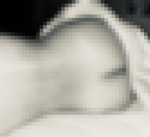 Photo from Lita into Open to everyone