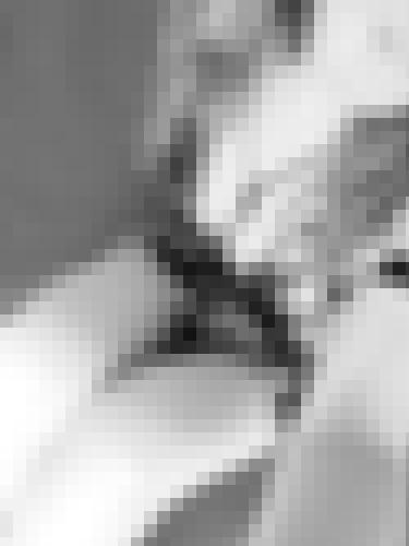 Photo from MissVictoire into Photo sage