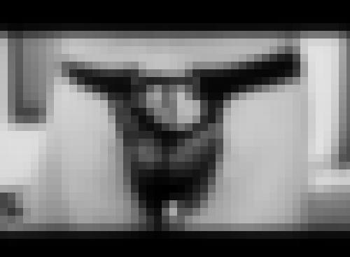 Photo from coco42 into Je montre mes sous-vêtements