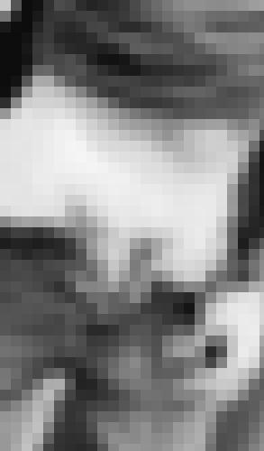 Photo from coco42 into VSC