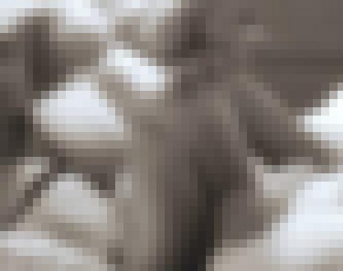 Photo from coco42 into Avec ma langue je ...