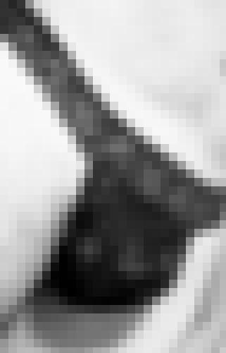 Photo from coco42 into Je montre mes sous-vêtements