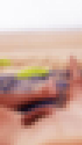 Photo from coco42 into en vacances