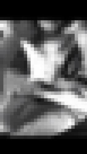 Photo from Hedon into Je montre mon torse