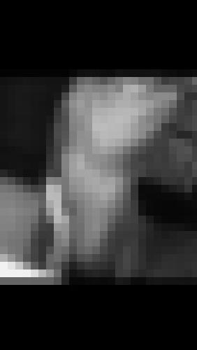 Photo from Hedon into Je montre mon torse