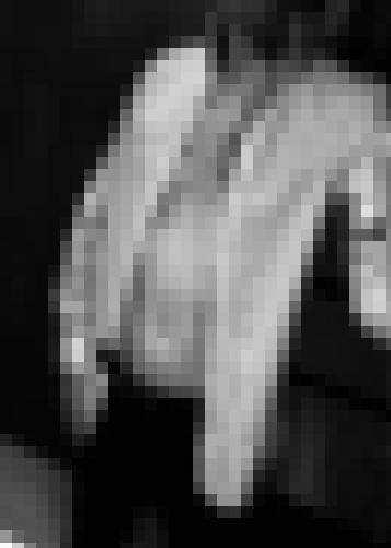 Photo from Hedon into Je montre mon torse