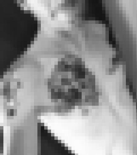 Photo from Hedon into Je montre mon torse