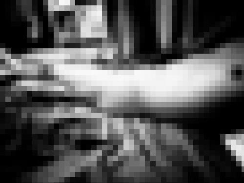 Photo from Saga into Open to everyone