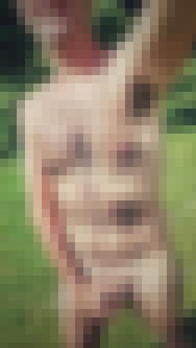 Photo from DidouYogi into Reviens le soleil !