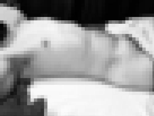 Photo from jjcous into Un doux réveil