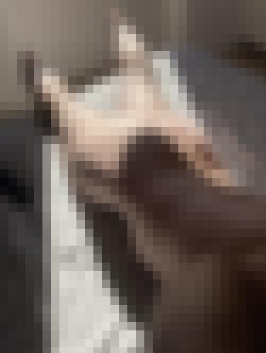 Photo from Tom. into Reviens le soleil !