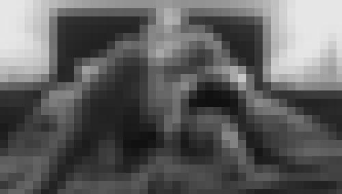 Foto de TRISTAN69 en Proverbes et expressions illustrés