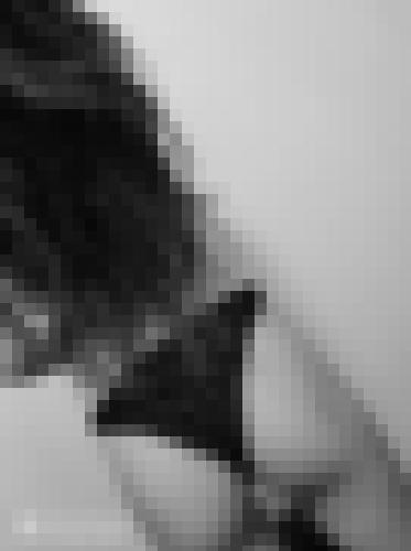 Photo from Flower into Open to everyone