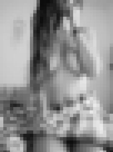 Photo from Flower into Open to everyone