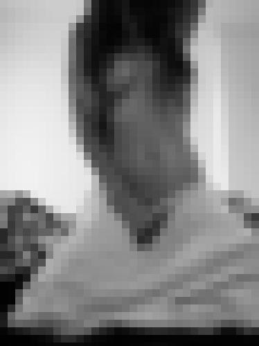 Photo from Flower into Open to everyone