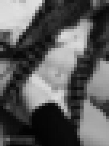 Photo from Flower into Open to everyone