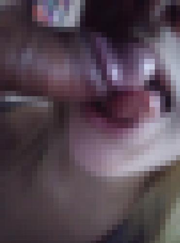 Photo from satlov3sex3 into La meilleure fellation