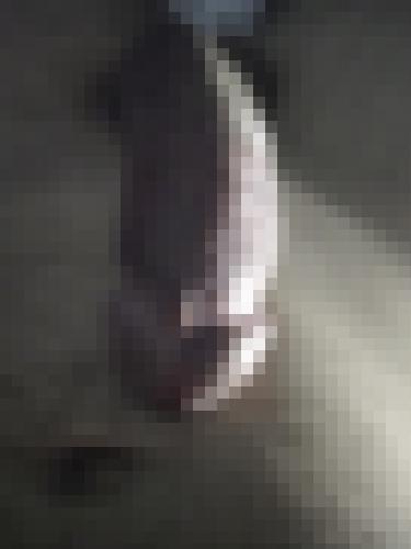 Photo from Koni49 into Privé !