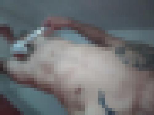 Photo from Koni49 into Sous la douche