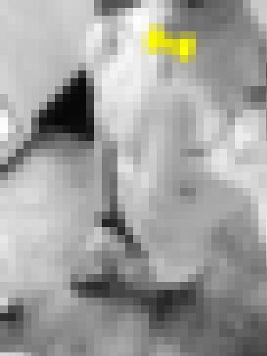 Photo from Koni49 into Populaires