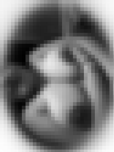 Photo from lilhefner into Je montre mes seins