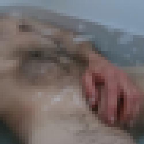 Photo from Philou10 into À la une