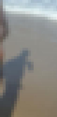 Photo from Magik Ben into Jeux d'ombres