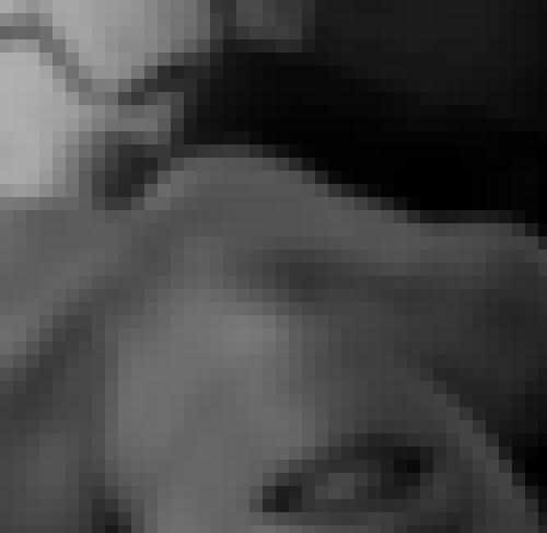 Photo from Tijo75 into Le plus beau sourire