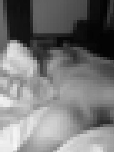 Photo from bapt76000 into Un doux réveil