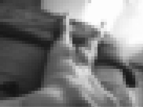 Photo from bapt76000 into Un doux réveil