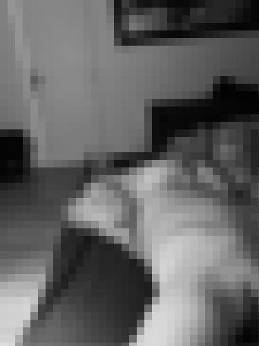 Photo from bapt76000 into Un doux réveil