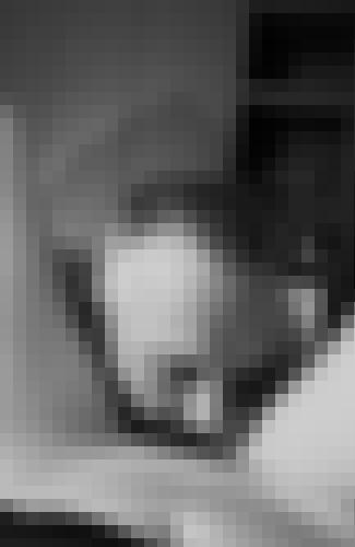 Photo from bapt76000 into Le meilleur cuni