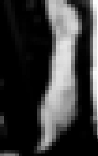 Foto de Alambic en VSC