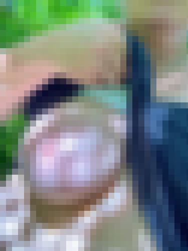 Photo from Mme Yoni into Reviens le soleil !