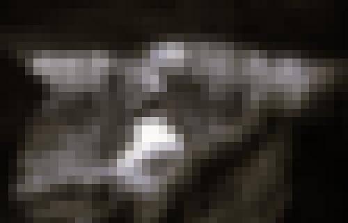 Photo from Plou into Open to everyone