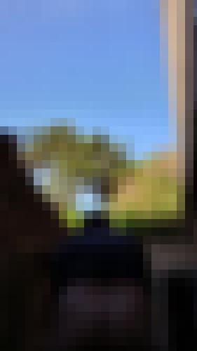 Photo from Iffg into VSC