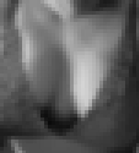 Foto de AmortentiaA en Selfie du matin