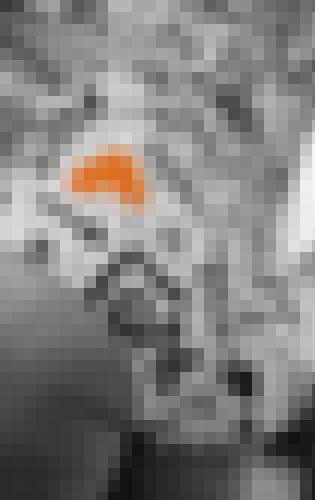 Foto de AmortentiaA en Selfie du matin