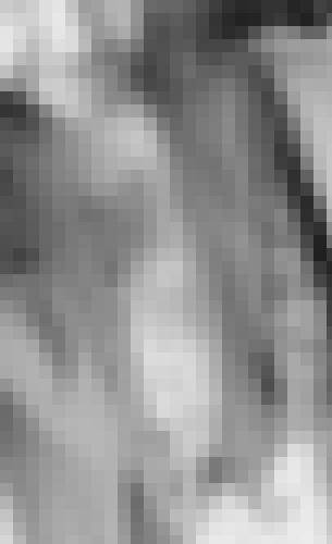 Photo from Breizh56 into Provocation