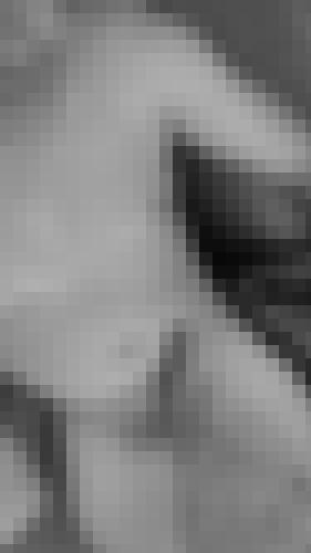 Photo from Breizh56 into Provocation