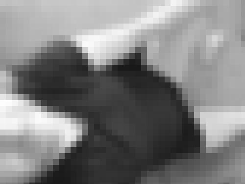 Foto de Breizh56 en Selfie du matin