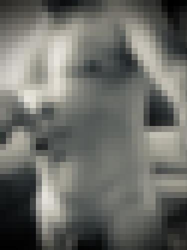 Foto de Wawann22 en Proverbes et expressions illustrés