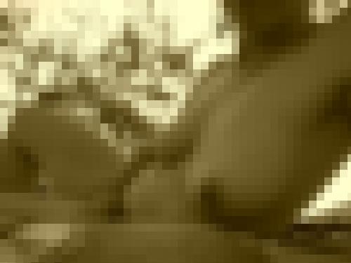 Photo from Ri85 into En pleine nature