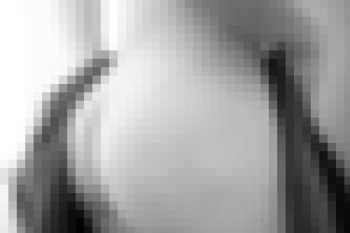 Photo from Arlequin into Open to everyone