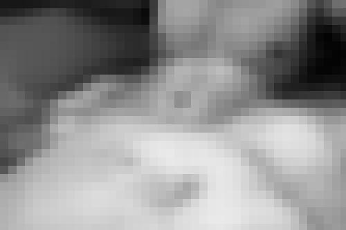 Photo from Arlequin into Dans mon bain