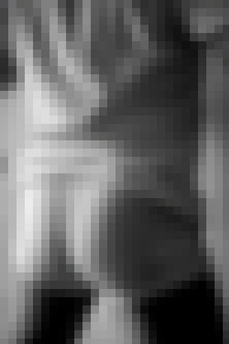 Photo from Arlequin into Open to everyone