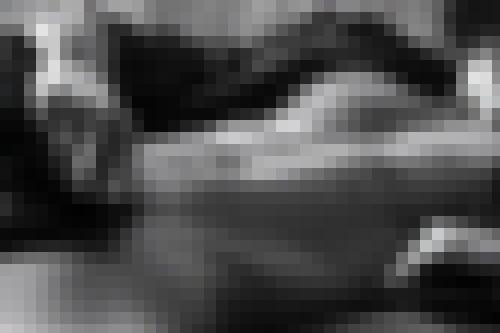 Photo from Arlequin into Open to everyone