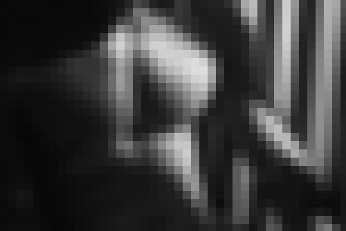 Photo from Arlequin into Open to everyone