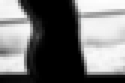 Photo from Arlequin into Open to everyone