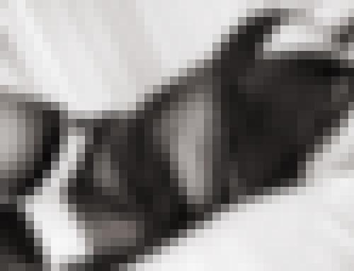 Foto de Clem-entine en Belle lingerie